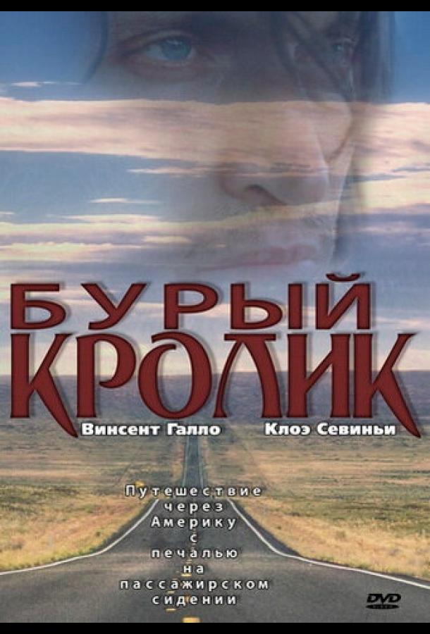 Бурый кролик 2003 Смотреть Онлайн Бесплатно в Хорошем Качестве